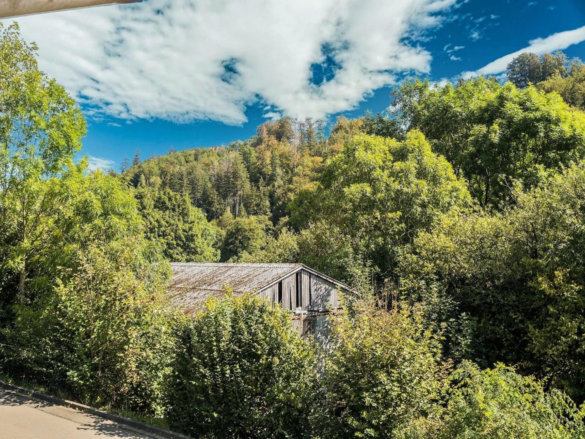 Modern Apartment In Schwalefeld With Garden Willingen  Esterno foto