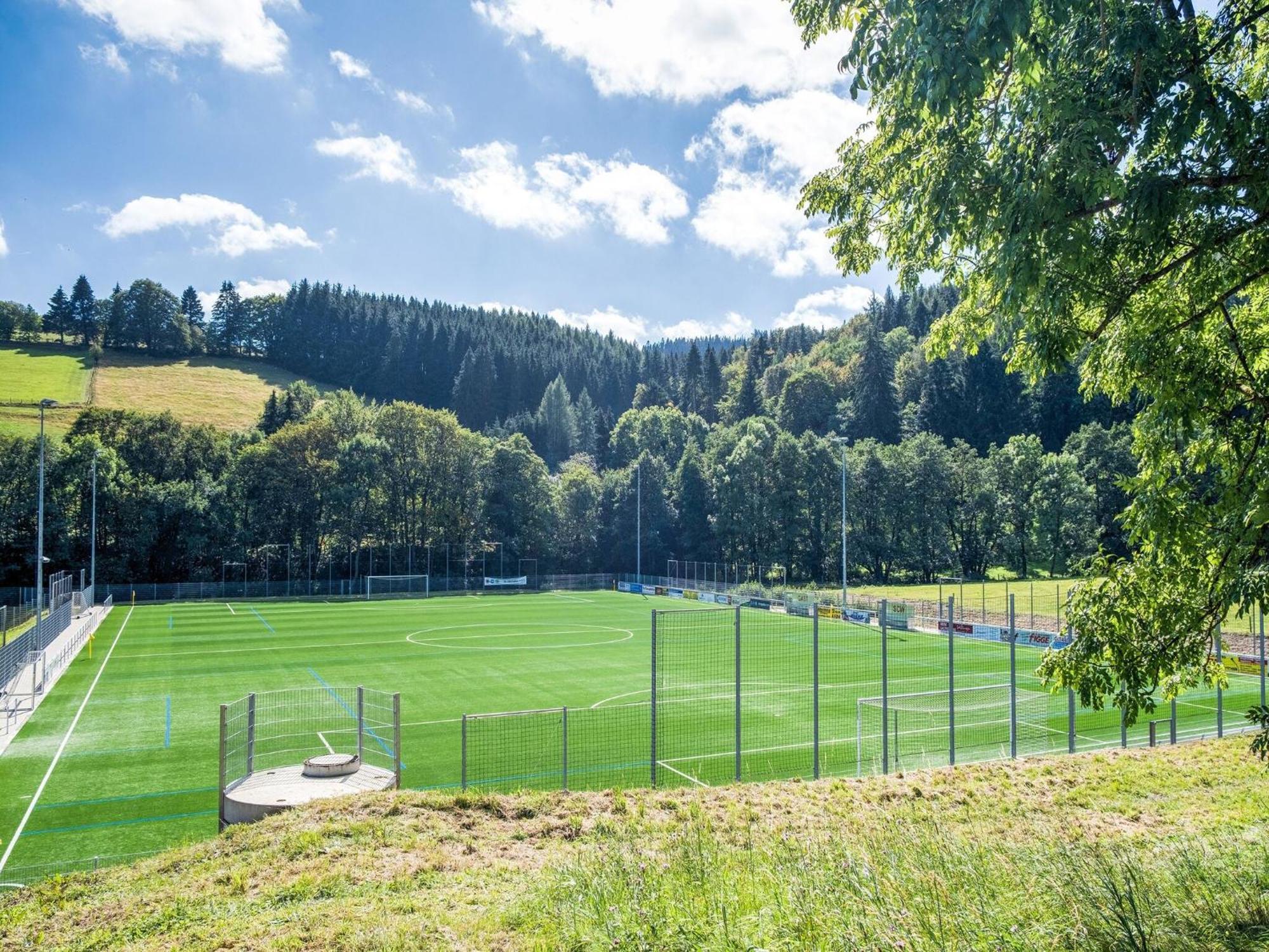 Modern Apartment In Schwalefeld With Garden Willingen  Esterno foto