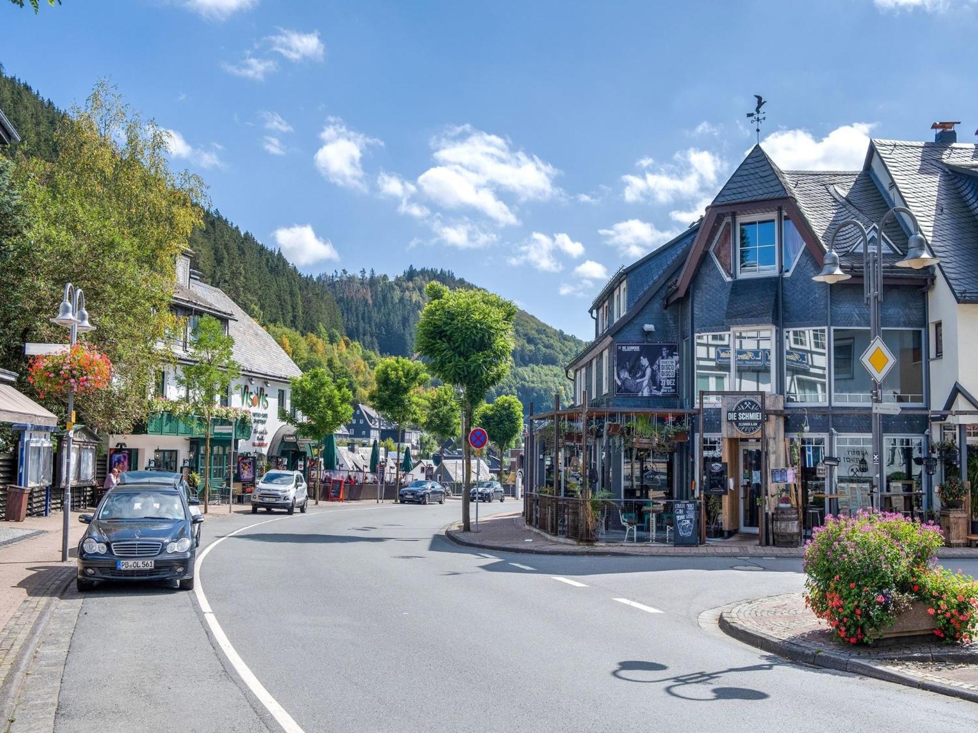 Modern Apartment In Schwalefeld With Garden Willingen  Esterno foto