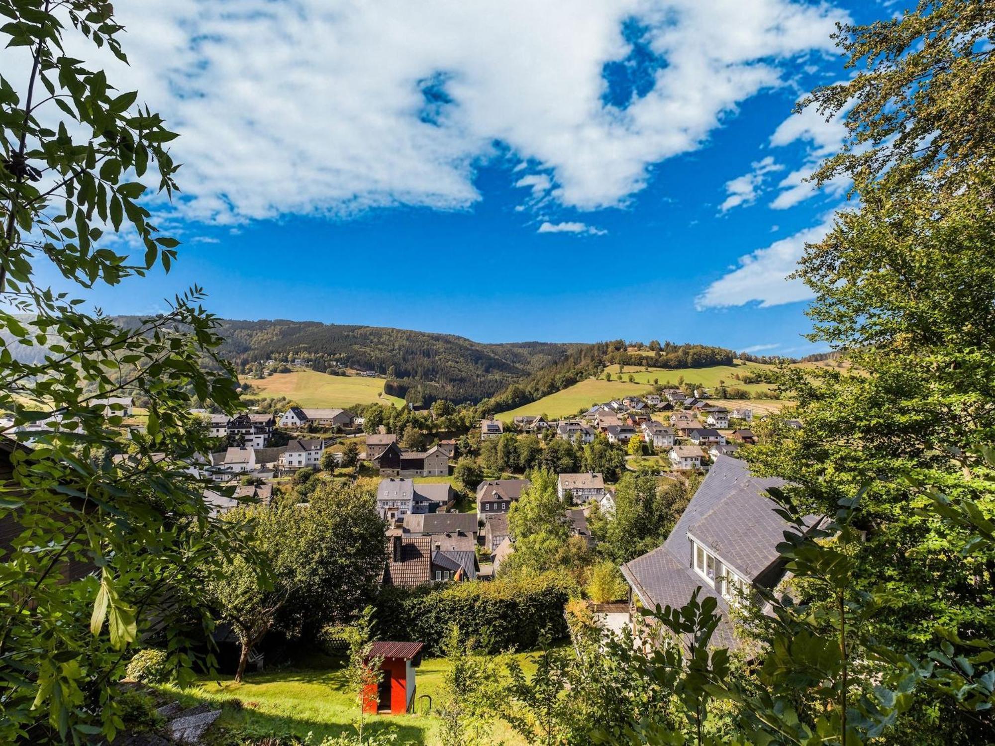 Modern Apartment In Schwalefeld With Garden Willingen  Esterno foto