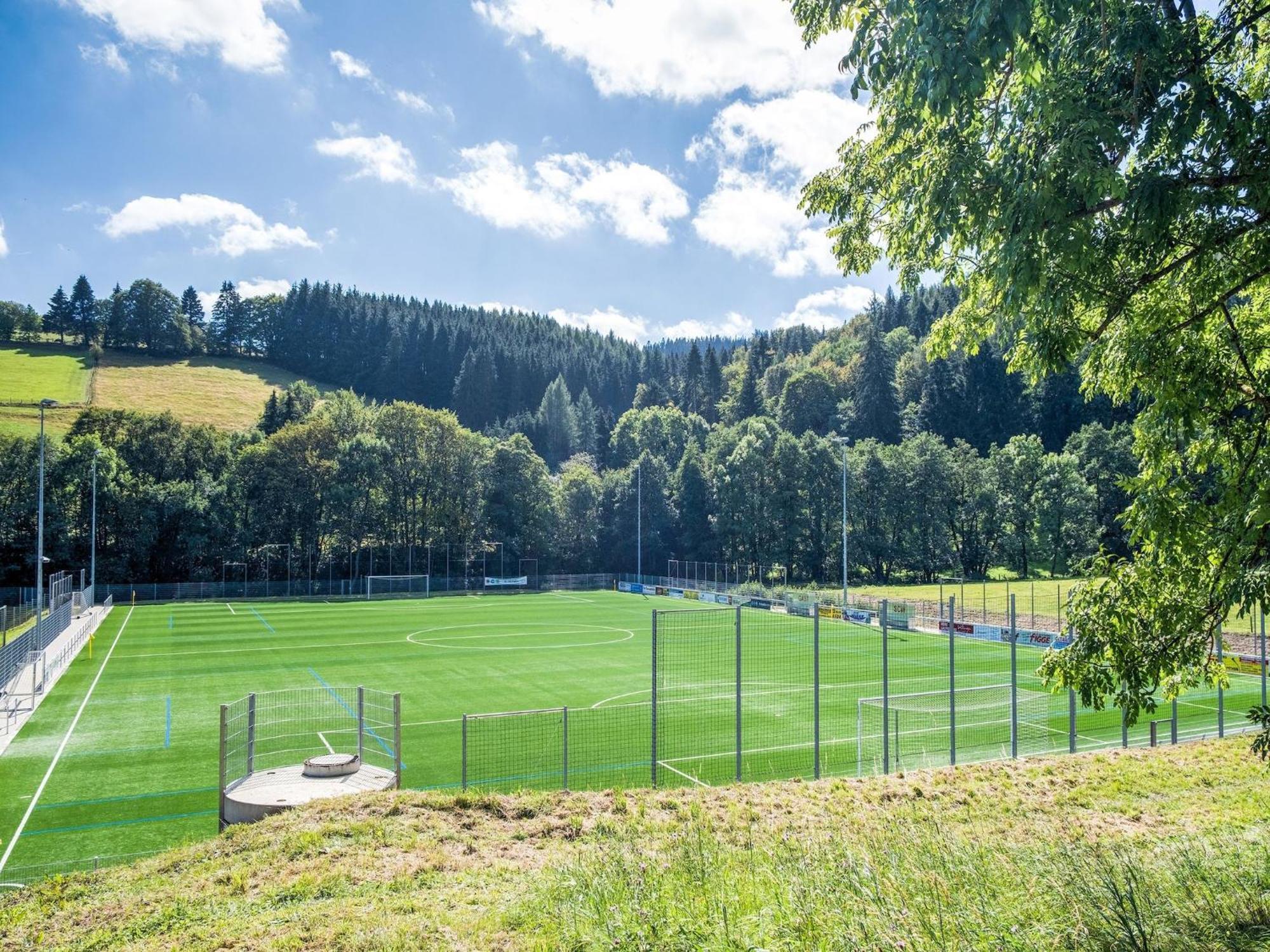 Modern Apartment In Schwalefeld With Garden Willingen  Esterno foto